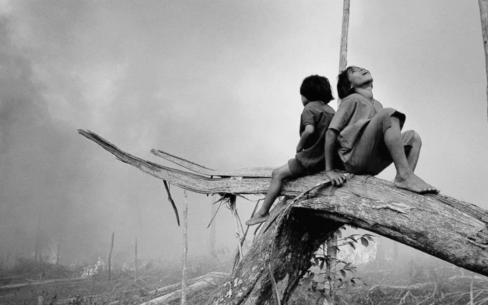 Enfants Secoya